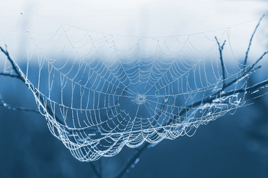 Similar image 21436492