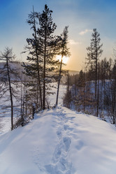 Similar image 21436493