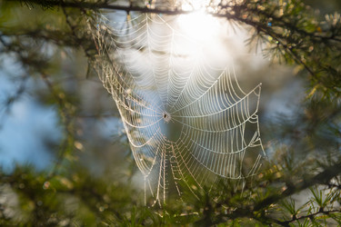 Similar image 21436494