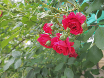 Similar image 21440690