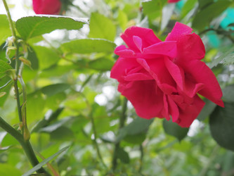 Similar image 21440691