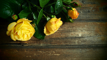 Similar image 21440693