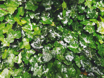 Similar image 21440694