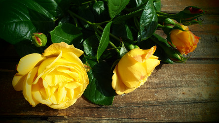 Similar image 21440695