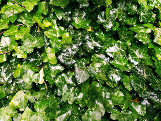 Similar image 21440696