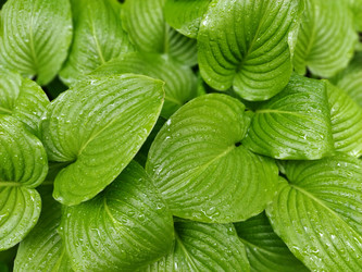 Similar image 21440698