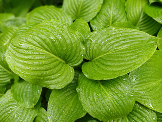 Similar image 21440699