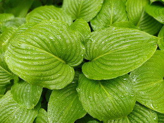 Similar image 21440700