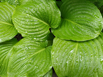 Similar image 21440703