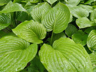 Similar image 21440704