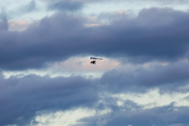 Similar image 21435113