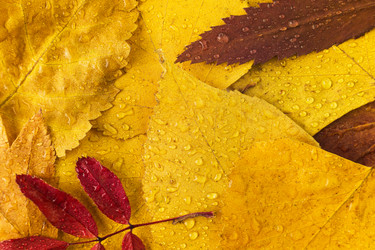 Similar image 21435117