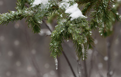 Similar image 21435120