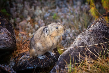 Similar image 21435123