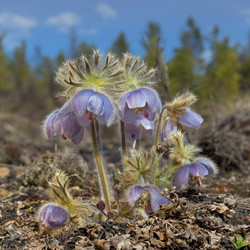 Similar image 21436107