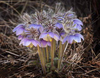 Similar image 21436108