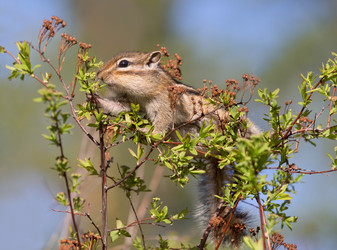 Similar image 21436110