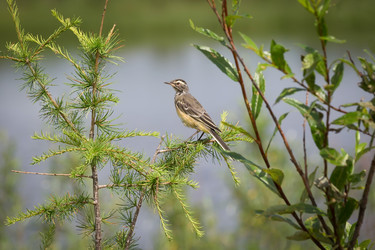 Similar image 21436116