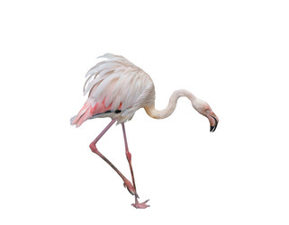 Similar image 21436118