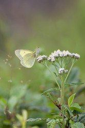 Similar image 21436119