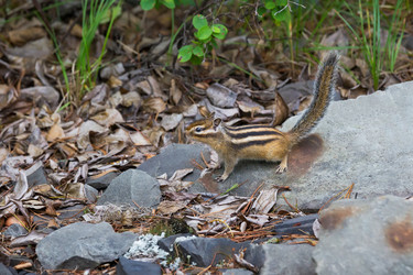 Similar image 21436131