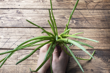 Similar image 21435160