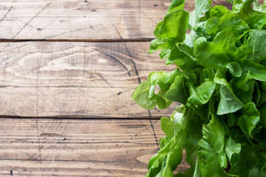 Similar image 21435566