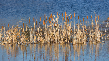 Similar image 21436141