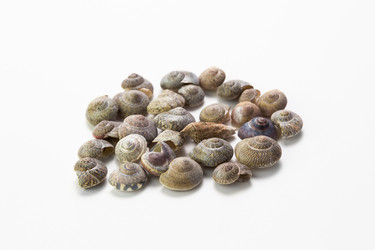 Similar image 21436156