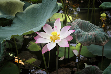 Similar image 21436162