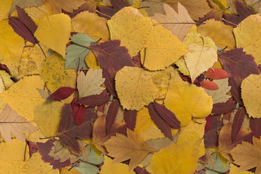 Similar image 21436163