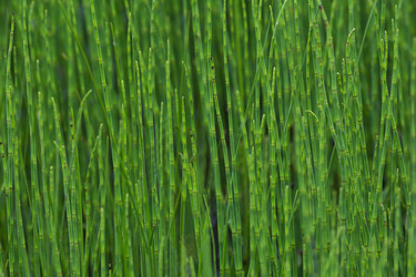 Similar image 21436168