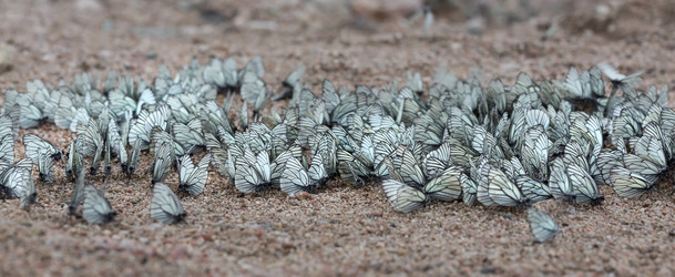 Similar image 21436500