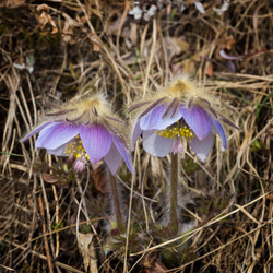 Similar image 21436501