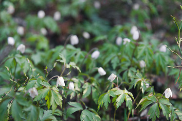 Similar image 21435162