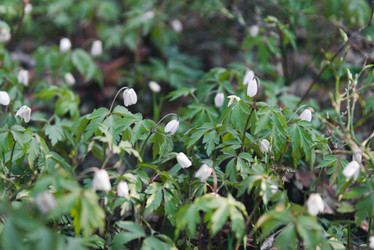 Similar image 21435163