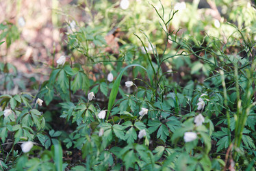 Similar image 21435164