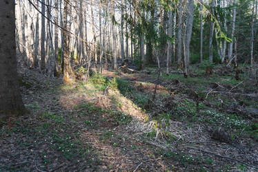 Similar image 21435166