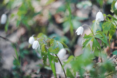 Similar image 21435167