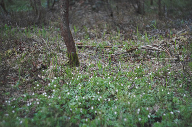 Similar image 21435170