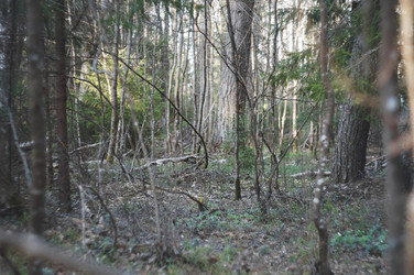 Similar image 21435171