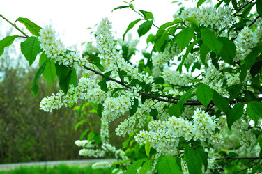 Similar image 21436169