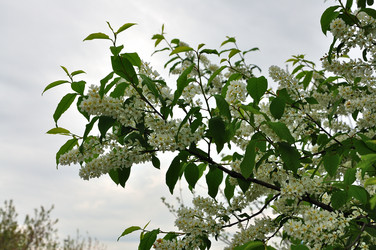 Similar image 21436170