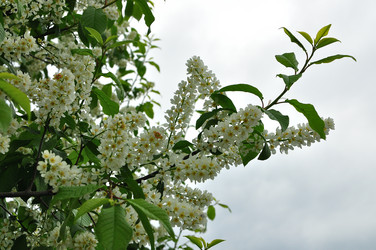 Similar image 21436171