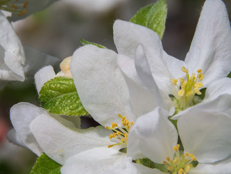 Similar image 21435174