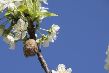 Similar image 21435175