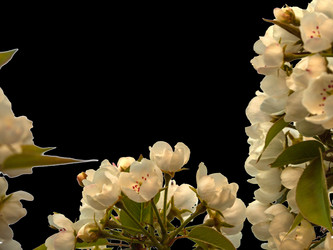 Similar image 21435176