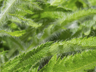 Similar image 21435178