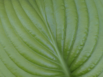 Similar image 21435179