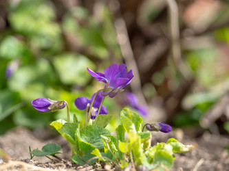 Similar image 21435185